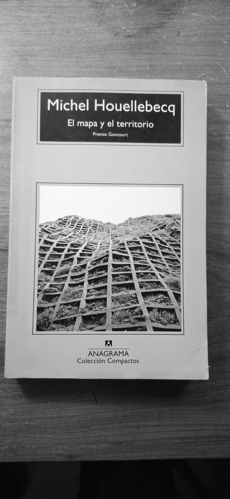 Ejemplar de El mapa y el territorio, de Michel Houellebecq